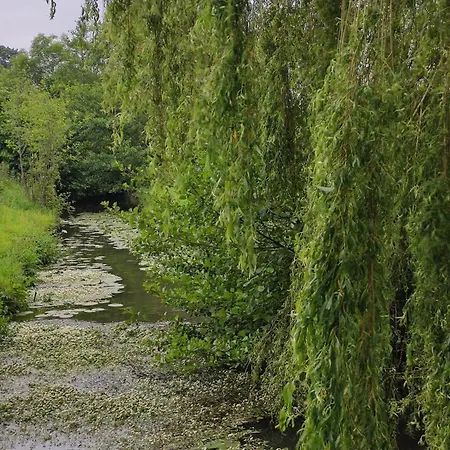 Apartment Right Between Two Coast Lines *